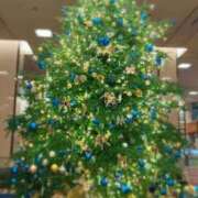 凪原 アリス 12月のご案内です⛄️💗 横浜貴楼館