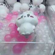 ヒメ日記 2025/06/04 14:19 投稿 かりん ドマーニ