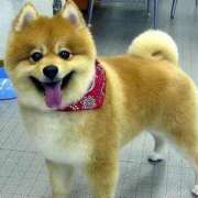 かりん お問い合わせお待ちしてます♡ ドマーニ