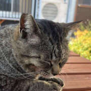 ヒメ日記 2025/05/28 21:33 投稿 かの 2980円