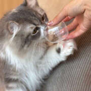 ヒメ日記 2025/06/08 13:04 投稿 かの 2980円