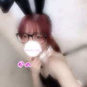 ヒメ日記 2025/09/07 10:43 投稿 かの 2980円