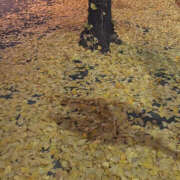 ヒメ日記 2025/12/10 09:34 投稿 かの 2980円