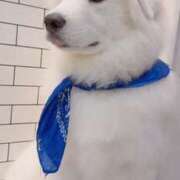 ヒメ日記 2025/05/11 19:19 投稿 まゆ メンエス案内所