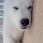 ヒメ日記 2025/05/13 12:10 投稿 まゆ メンエス案内所