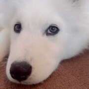 ヒメ日記 2025/05/18 20:05 投稿 まゆ メンエス案内所