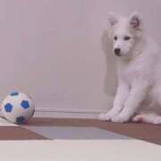 ヒメ日記 2025/05/24 19:02 投稿 まゆ メンエス案内所