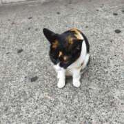 ヒメ日記 2025/05/30 01:32 投稿 まゆ メンエス案内所