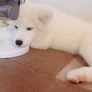 ヒメ日記 2025/06/09 21:28 投稿 まゆ メンエス案内所