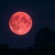 ヒメ日記 2025/06/11 19:34 投稿 まゆ メンエス案内所