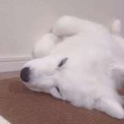 ヒメ日記 2025/06/18 19:32 投稿 まゆ メンエス案内所