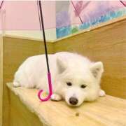 ヒメ日記 2025/06/27 19:12 投稿 まゆ メンエス案内所