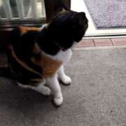 ヒメ日記 2025/08/03 21:18 投稿 まゆ メンエス案内所