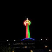 ヒメ日記 2025/12/26 22:27 投稿 まゆ メンエス案内所