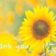 ヒメ日記 2025/07/25 03:21 投稿 (コスパ)椿かおり 風俗イキタイいわき店