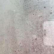 ヒメ日記 2025/06/06 20:15 投稿 ゆゆ 萌えコス