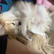 ヒメ日記 2025/06/28 18:22 投稿 ゆゆ 萌えコス