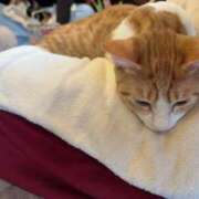 ヒメ日記 2025/06/28 21:15 投稿 ゆゆ 萌えコス