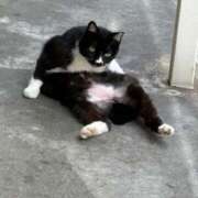 ヒメ日記 2025/07/02 21:15 投稿 ゆゆ 萌えコス