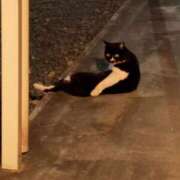 ヒメ日記 2025/07/09 16:05 投稿 ゆゆ 萌えコス