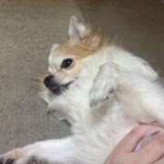 ヒメ日記 2025/07/09 22:15 投稿 ゆゆ 萌えコス