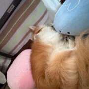 ヒメ日記 2025/07/25 07:05 投稿 ゆゆ 萌えコス