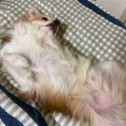 ヒメ日記 2025/07/28 14:17 投稿 ゆゆ 萌えコス