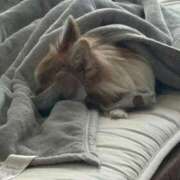 ヒメ日記 2025/07/31 10:46 投稿 ゆゆ 萌えコス