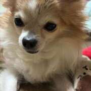 ヒメ日記 2025/08/20 13:19 投稿 ゆゆ 萌えコス