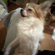 ヒメ日記 2025/08/30 18:25 投稿 ゆゆ 萌えコス