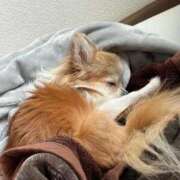 ヒメ日記 2025/09/10 17:05 投稿 ゆゆ 萌えコス