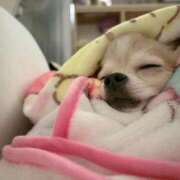 ヒメ日記 2025/09/12 14:45 投稿 ゆゆ 萌えコス