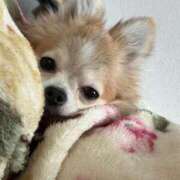 ヒメ日記 2025/09/16 11:05 投稿 ゆゆ 萌えコス