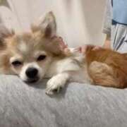 ヒメ日記 2025/09/25 18:06 投稿 ゆゆ 萌えコス