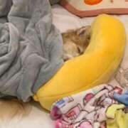 ヒメ日記 2025/10/04 20:15 投稿 ゆゆ 萌えコス