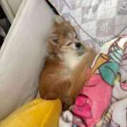 ヒメ日記 2025/10/05 09:48 投稿 ゆゆ 萌えコス