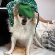 ヒメ日記 2025/10/05 11:45 投稿 ゆゆ 萌えコス