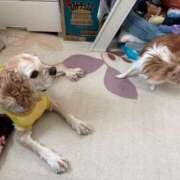 ヒメ日記 2025/10/11 11:50 投稿 ゆゆ 萌えコス