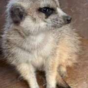 ヒメ日記 2025/12/02 06:35 投稿 ゆゆ 萌えコス