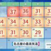 ヒメ日記 2025/09/12 09:52 投稿 みほ 逢って30秒で即尺