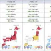 ヒメ日記 2025/09/23 10:17 投稿 みほ 逢って30秒で即尺