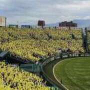 ヒメ日記 2025/09/29 09:55 投稿 みほ 逢って30秒で即尺