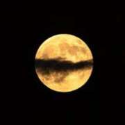 ヒメ日記 2025/10/08 18:25 投稿 みほ 逢って30秒で即尺