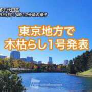 ヒメ日記 2025/11/04 09:36 投稿 みほ 逢って30秒で即尺