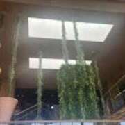 ヒメ日記 2026/01/02 09:44 投稿 みほ 逢って30秒で即尺