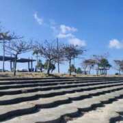 ヒメ日記 2026/02/08 09:30 投稿 みほ 逢って30秒で即尺