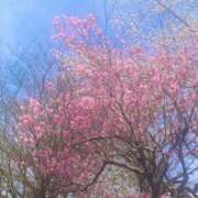 ヒメ日記 2026/02/12 09:17 投稿 みほ 逢って30秒で即尺