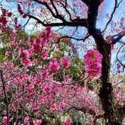 ヒメ日記 2026/02/15 09:15 投稿 みほ 逢って30秒で即尺