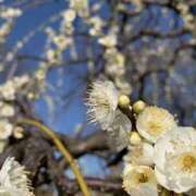 ヒメ日記 2026/02/16 09:30 投稿 みほ 逢って30秒で即尺