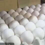 ヒメ日記 2026/02/18 10:00 投稿 みほ 逢って30秒で即尺